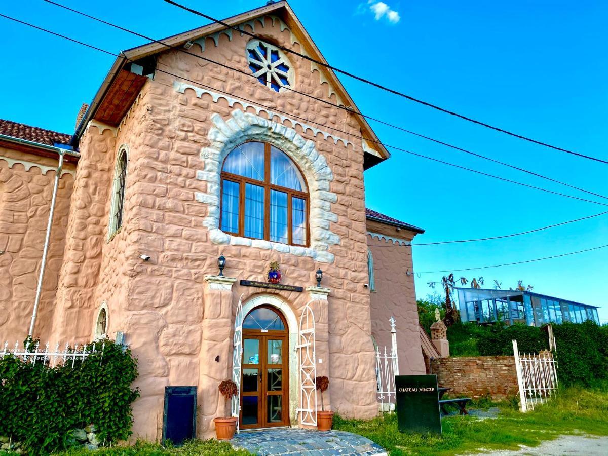 Chateau Vincze Satoraljaujhely Exterior photo